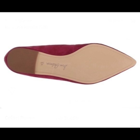 Sam Edelman Rosalie Ballet Suede Flat Shoes - Picture 5 of 9